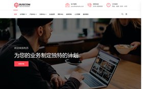 集團網站響應式網站模板.響應式